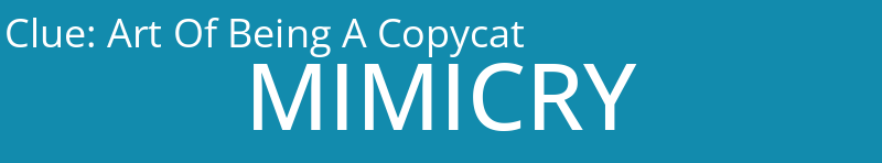 Art Of Being A Copycat