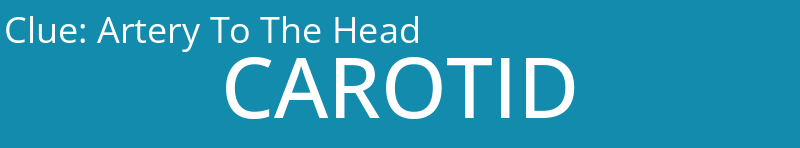 Artery To The Head