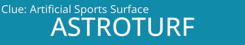 Artificial Sports Surface