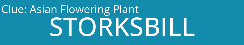 Asian Flowering Plant