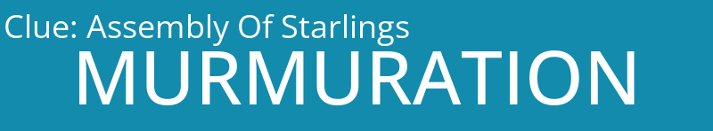 Assembly Of Starlings