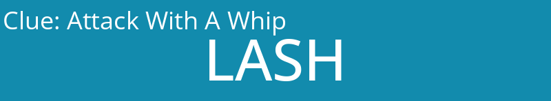 Attack With A Whip