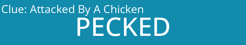 Attacked By A Chicken