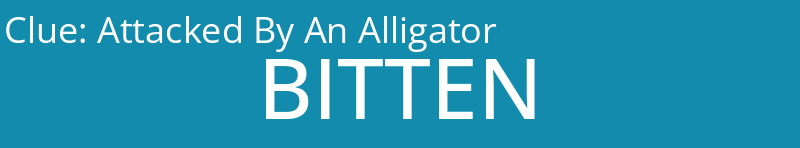Attacked By An Alligator