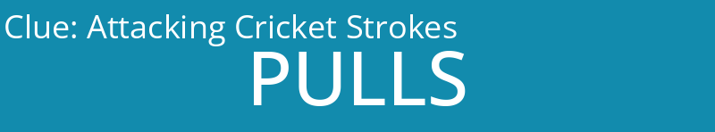 Attacking Cricket Strokes