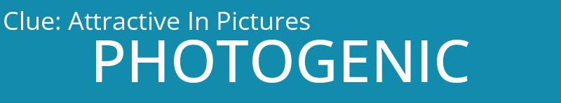 Attractive In Pictures