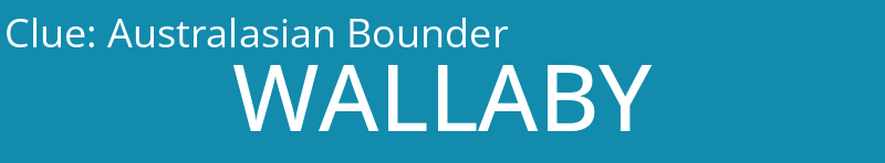Australasian Bounder