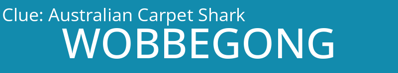 Australian Carpet Shark