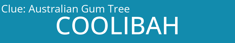 Australian Gum Tree