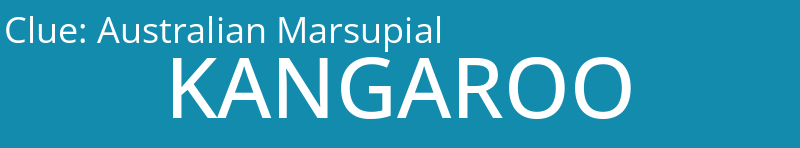 Australian Marsupial