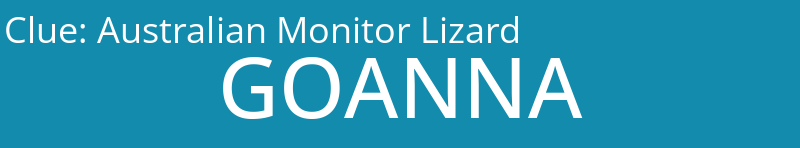 Australian Monitor Lizard