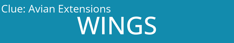 Avian Extensions