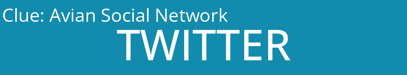 Avian Social Network