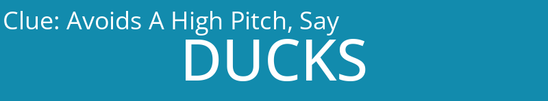 Avoids A High Pitch, Say