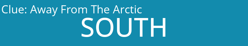 Away From The Arctic