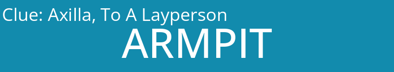 Axilla, To A Layperson