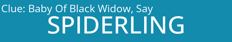 Baby Of Black Widow, Say