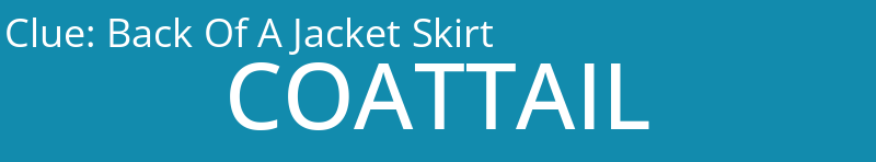 Back Of A Jacket Skirt