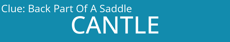 Back Part Of A Saddle