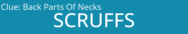 Back Parts Of Necks