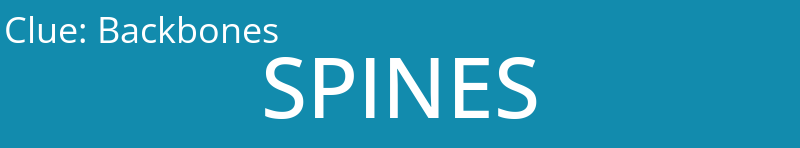 Backbones