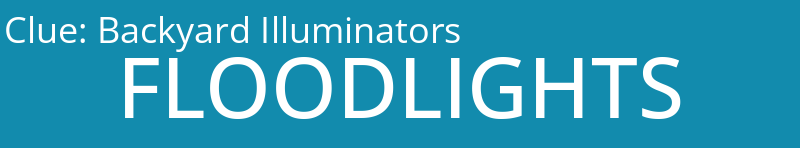 Backyard Illuminators