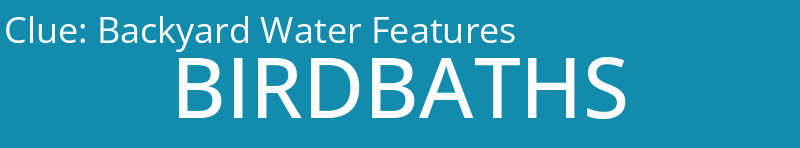 Backyard Water Features