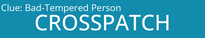 Bad-Tempered Person