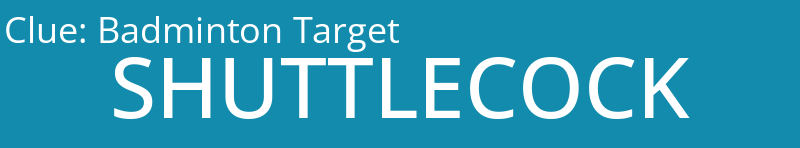 Badminton Target