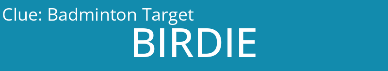 Badminton Target