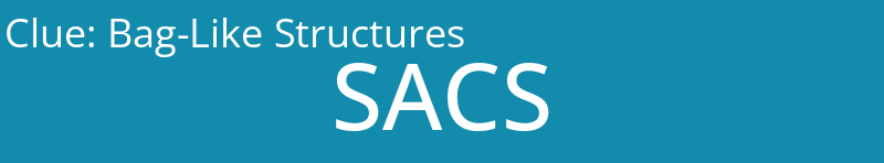 Bag-Like Structures
