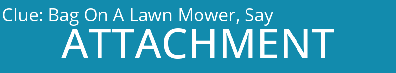 Bag On A Lawn Mower, Say