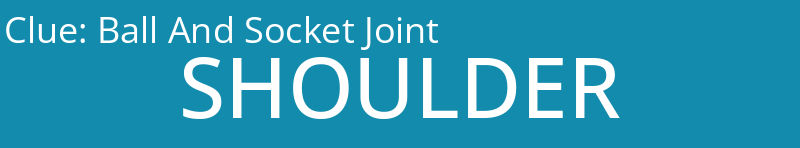 Ball And Socket Joint