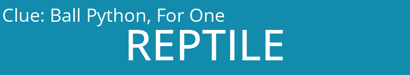 Ball Python, For One