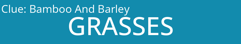 Bamboo And Barley
