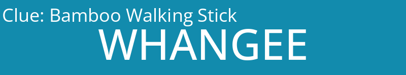 Bamboo Walking Stick