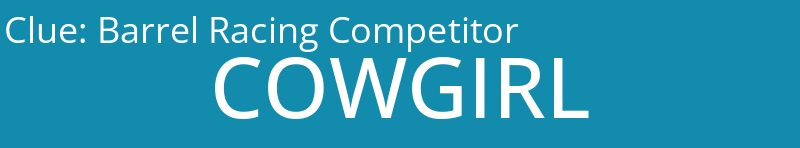 Barrel Racing Competitor