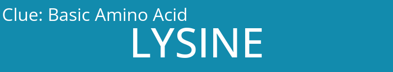 Basic Amino Acid