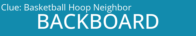 Basketball Hoop Neighbor