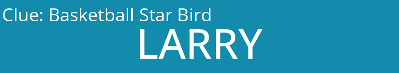 Basketball Star Bird