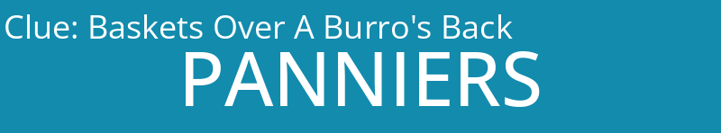 Baskets Over A Burro's Back