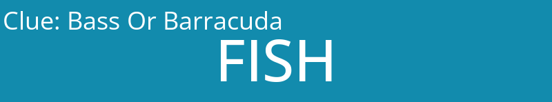 Bass Or Barracuda