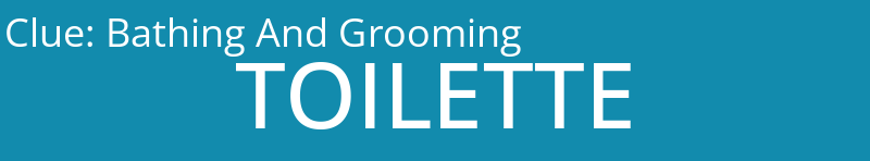 Bathing And Grooming