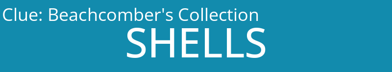Beachcomber's Collection