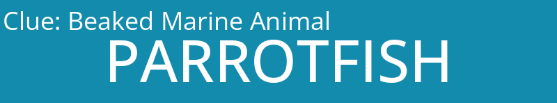 Beaked Marine Animal