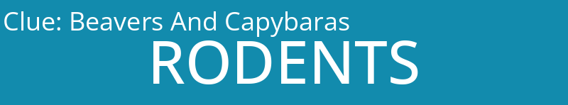 Beavers And Capybaras