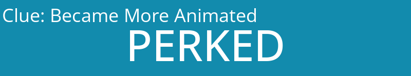 Became More Animated