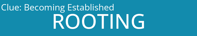 Becoming Established