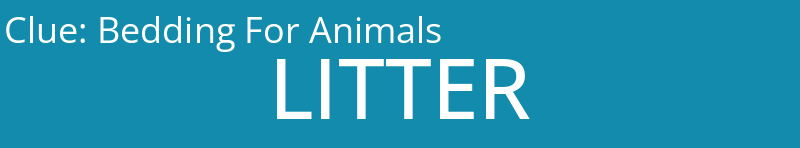 Bedding For Animals