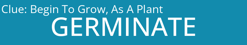 Begin To Grow, As A Plant